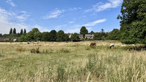 Photo 26- click for photo gallery